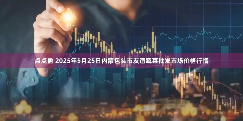 点点盈 2025年5月25日内蒙包头市友谊蔬菜批发市场价格行情