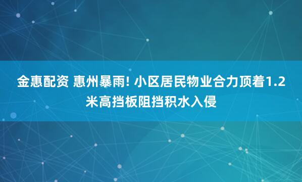 金惠配资 惠州暴雨! 小区居民物业合力顶着1.2米高挡板阻挡积水入侵